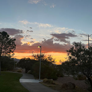 Meet your Posher, Sophie